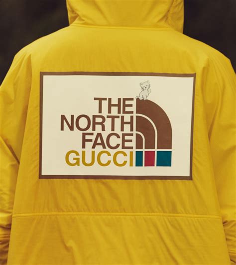 bourgeois gucci|Gucci x the north face.